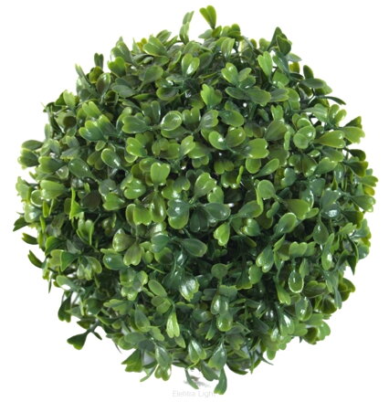 Buxus koule- 18cm