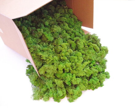 Stabilizovaný finský mech 250g - May Green 
