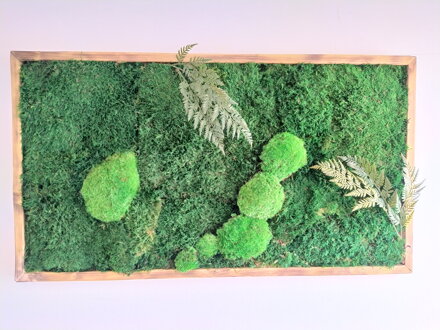 Machový obraz- lesný mach s papradím 50cm x 90cm 