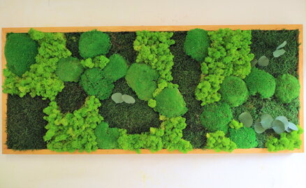 Mechový obraz- více druhů mechu a listy 50cm x 90cm