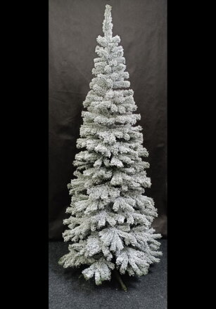 Jedlička Karolina + sneh 240cm