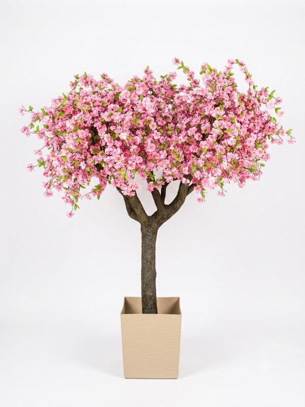 Kvetoucí strom sakura- extra široká koruna 180cm