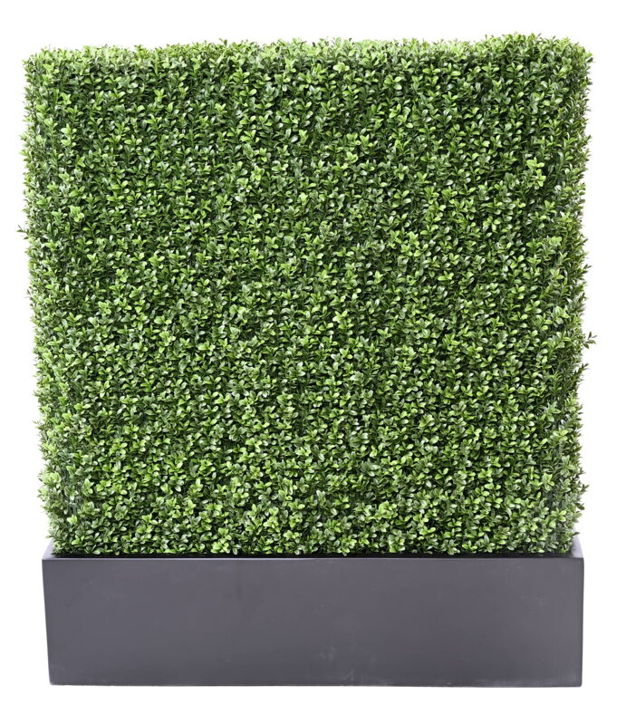 Zástěna buxus 100cm x 60cm