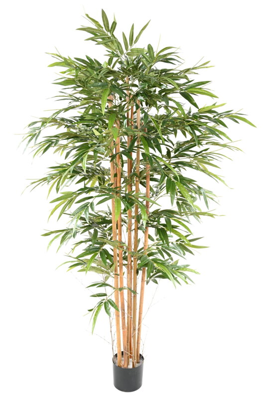Umělý Bambus 160cm Umělý Bambus 160cm