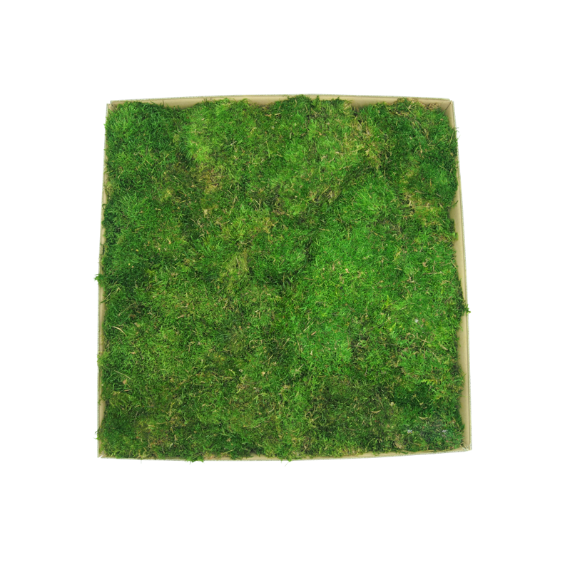 Stabilizovaný plochý mech 0,2m²