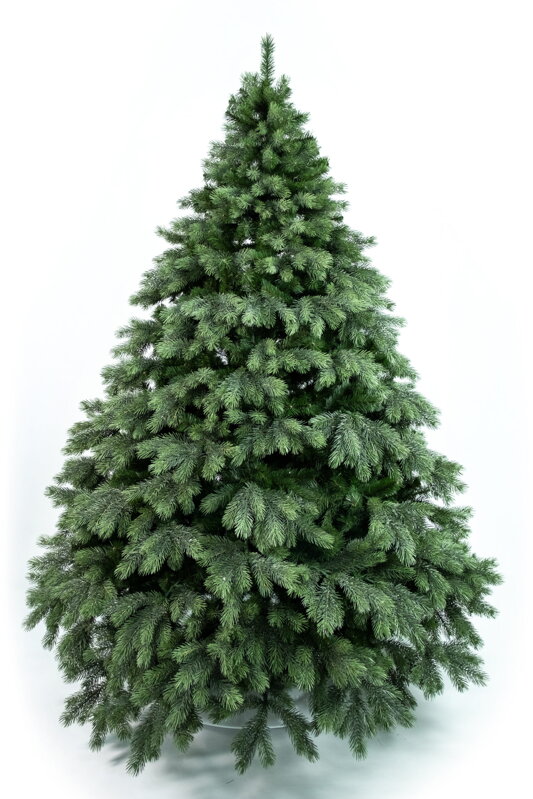 Borovice Aurora široká 3D- 240cm
