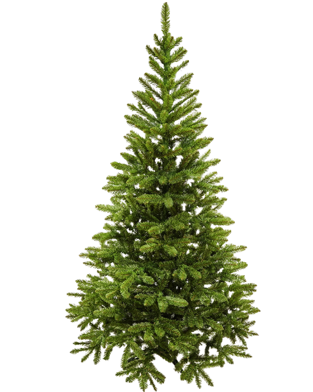Jedlička Tatiana 220cm Jedlička Tatiana 220cm