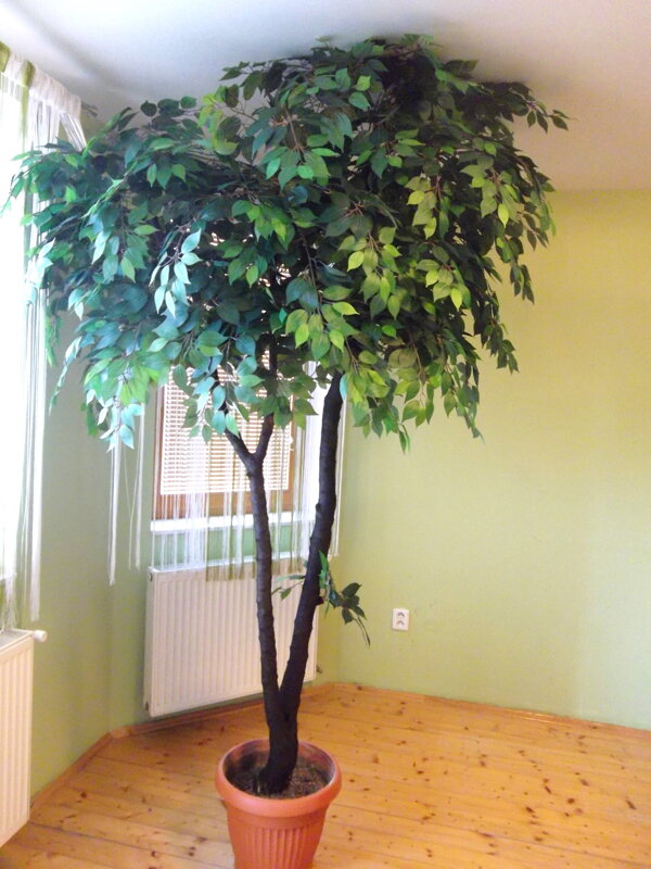 Umělý strom- Fíkus zelený 250 cm