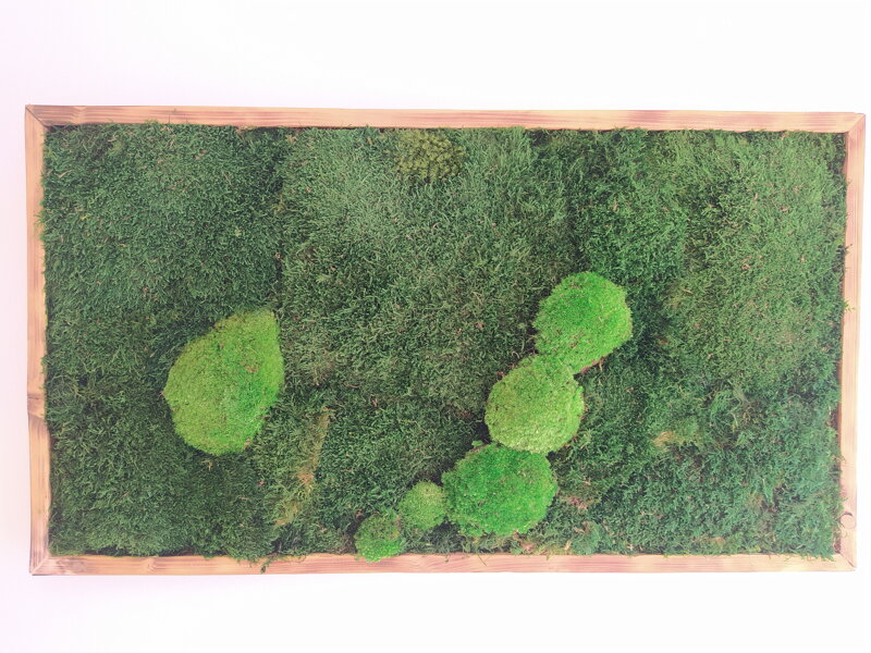 Mechový obraz- lesný mech 40cm x 80cm 