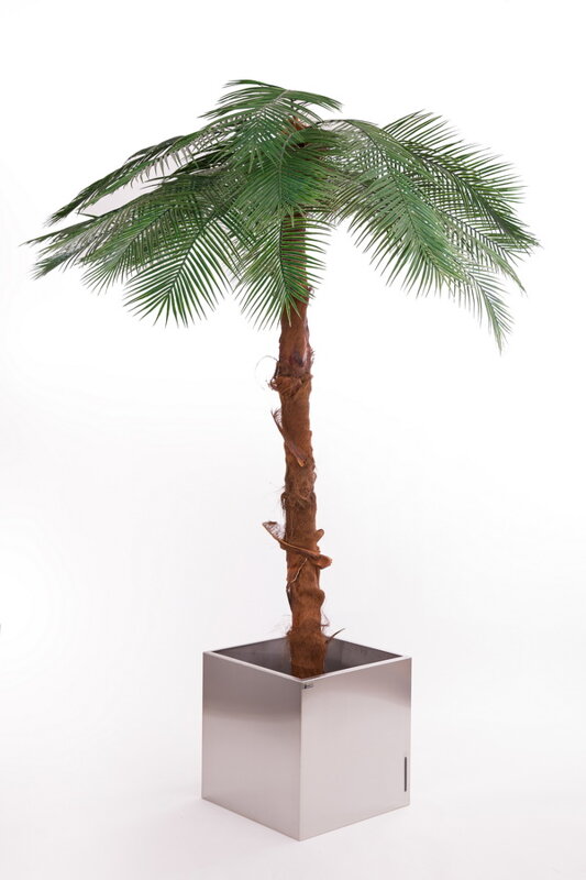 Umělá exteriérová palma 250cm