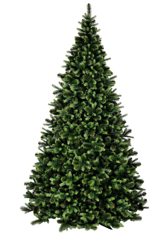 Vánoční stromek Rocky 270cm