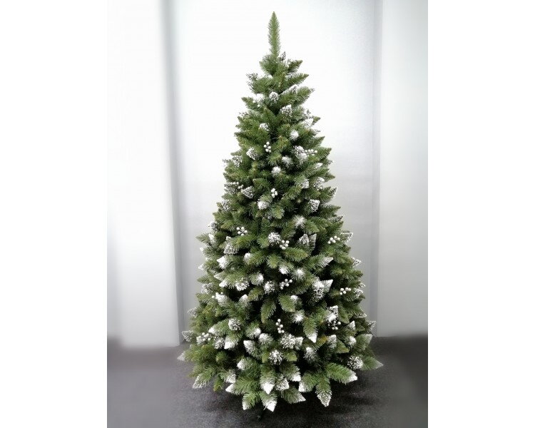 Vánoční stromček- Borovice Iza 150cm