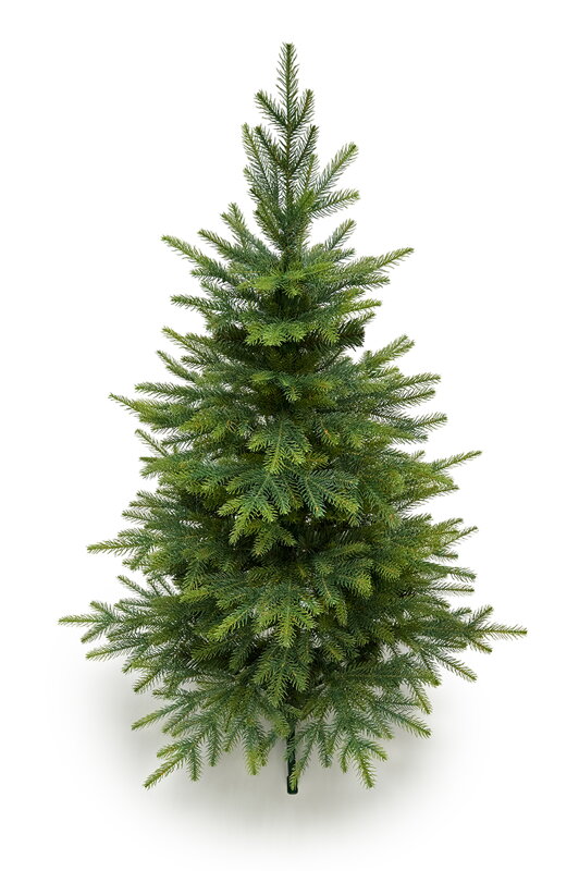Smrek Kaukazský 3D- 130cm Smrek Kaukazský 3D- 130cm
