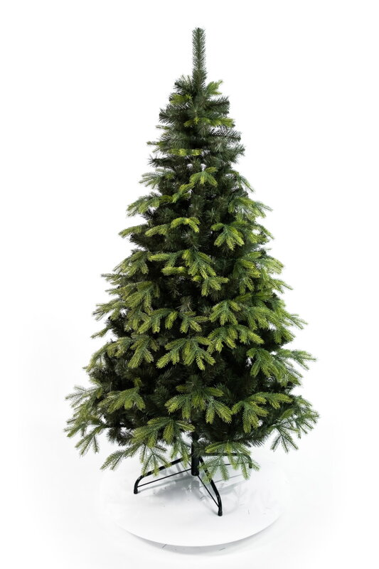 Borovice Kanadská 150cm 