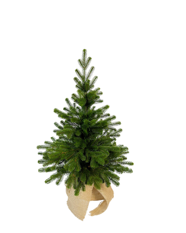Vánoční 100% 3D mini Smrk 50cm Vánoční 100% 3D mini Smrk 50cm