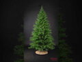 Smrek Premium 100% 3D- 230cm