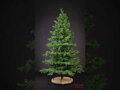 Smrk Alpský 3D- 200cm