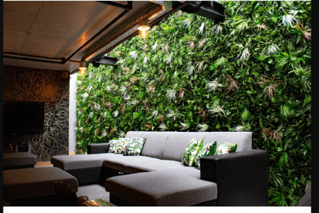 Umělé vs. živé rostliny: Které jsou lepší?